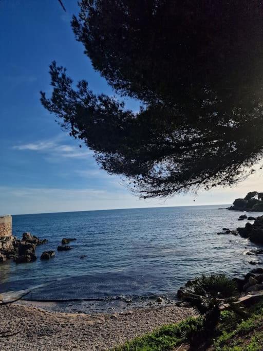 T2 Neuf, Parking Prive,Acces Mer Bandol Eksteriør billede